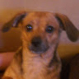 Meet your Posher, Diane